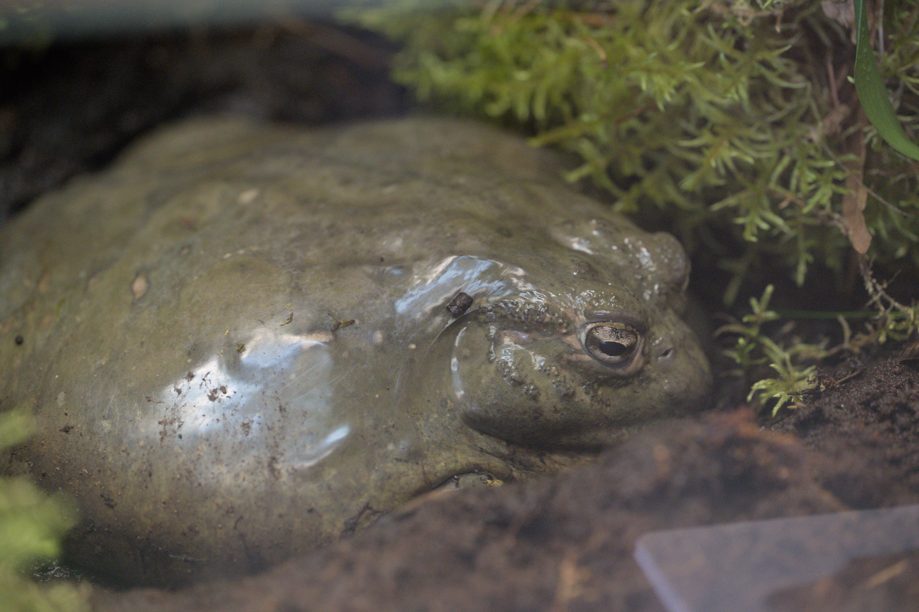 2025/10/12 - zoo/DSC_0175.jpg